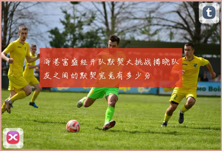 海港富盛经开队默契大挑战揭晓队友之间的默契究竟有多少分