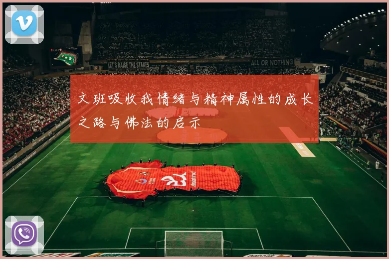 文班吸收我情绪与精神属性的成长之路与佛法的启示